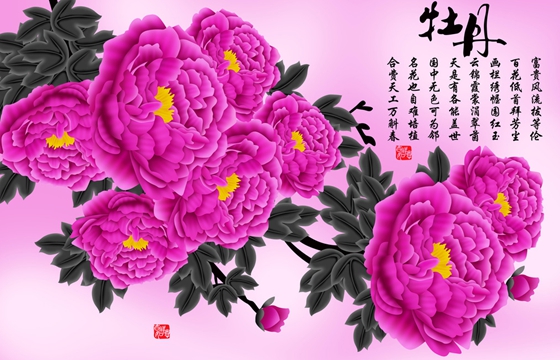 為什么牡丹被稱為花中之王？