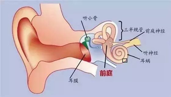 為什么暈車的人開車不暈車,開車不暈車坐車會暈車的原因是什么