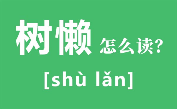 樹懶怎么讀,樹懶和考拉的區別,樹懶為什么這么慢