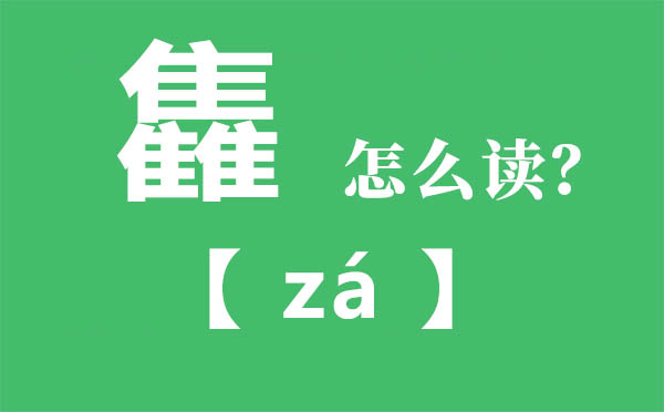 雥怎么讀,三個(gè)隹念什么,雥的拼音,雥字是什么意思