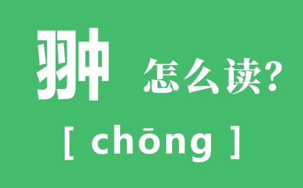 翀?jiān)趺醋x,翀的讀音,孛術(shù)魯翀?jiān)募胺g