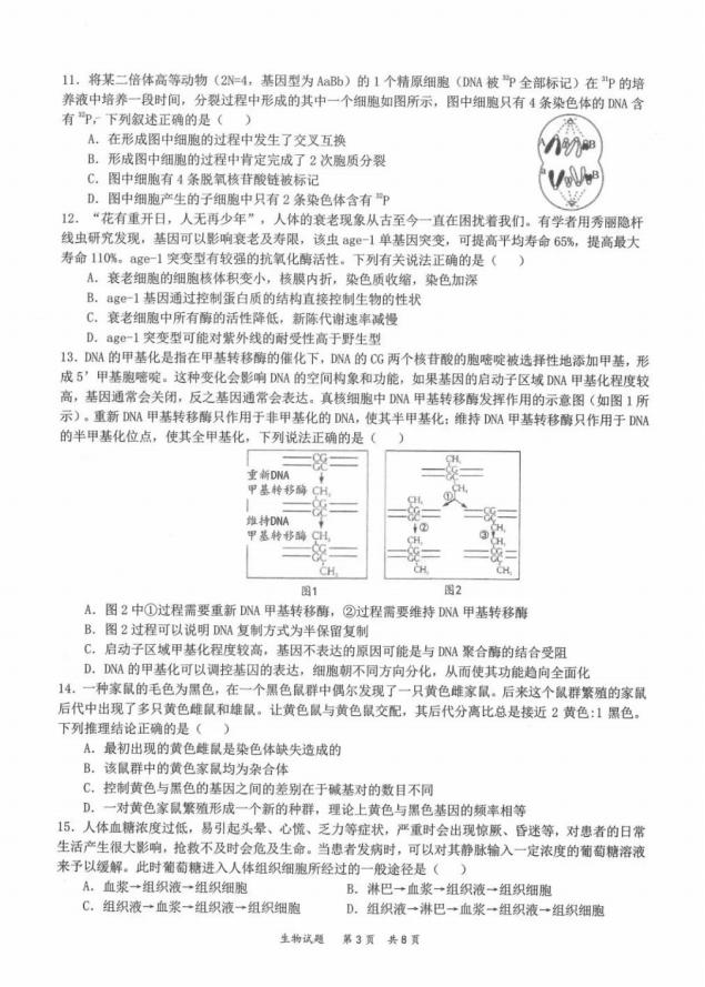 2022年八省聯考生物試卷第3頁