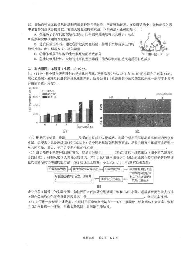 2022年八省聯考生物試卷第5頁