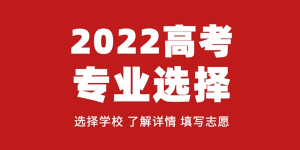 文科生可以報哪些專業,文科生學什么專業好呢