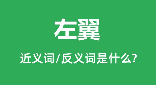 左翼的近義詞和反義詞是什么,左翼是什么意思