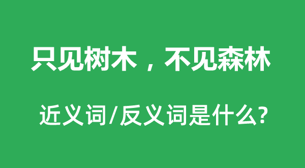 只見(jiàn)樹(shù)木，不見(jiàn)森林的近義詞和反義詞是什么,只見(jiàn)樹(shù)木，不見(jiàn)森林是什么意思