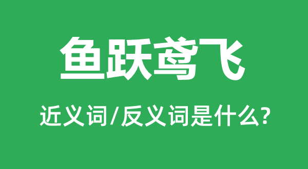 魚(yú)躍鳶飛的近義詞和反義詞是什么,魚(yú)躍鳶飛是什么意思