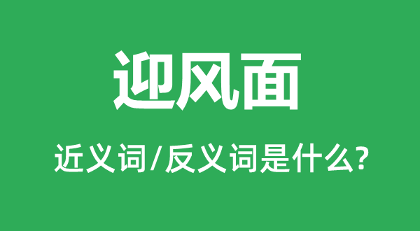 迎風面的近義詞和反義詞是什么,迎風面是什么意思