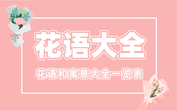 花語(yǔ)大全,各種花的花語(yǔ)和寓意大全一覽表