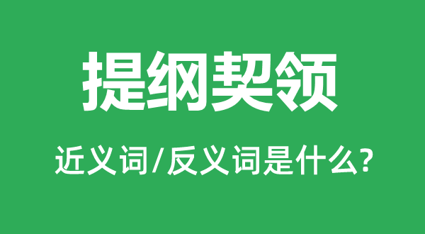 提綱契領的近義詞和反義詞是什么,提綱契領是什么意思