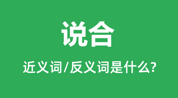 說合的近義詞和反義詞是什么,說合是什么意思