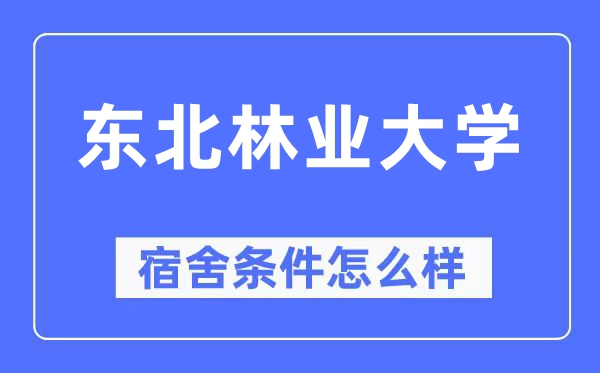 東北林業大學宿舍條件怎么樣,有空調和獨立衛生間嗎？（附宿舍圖片）