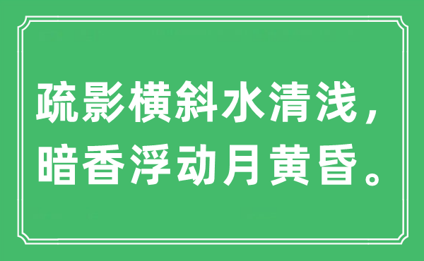 “疏影橫斜水清淺，暗香浮動(dòng)月黃昏。”是什么意思,出處及原文翻譯