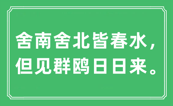 “舍南舍北皆春水，但見群鷗日日來。”是什么意思,出處及原文翻譯