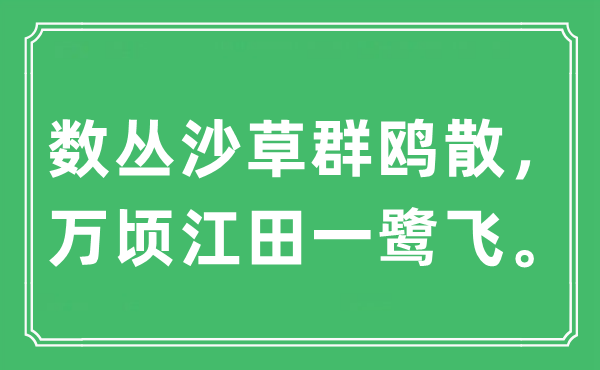 “數叢沙草群鷗散，萬頃江田一鷺飛”是什么意思,出處及原文翻譯