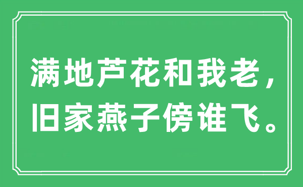 “滿地蘆花和我老，舊家燕子傍誰(shuí)飛”是什么意思,出處及原文翻譯