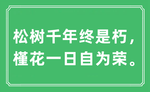 “松樹千年終是朽，槿花一日自為榮。”是什么意思,出處及原文翻譯