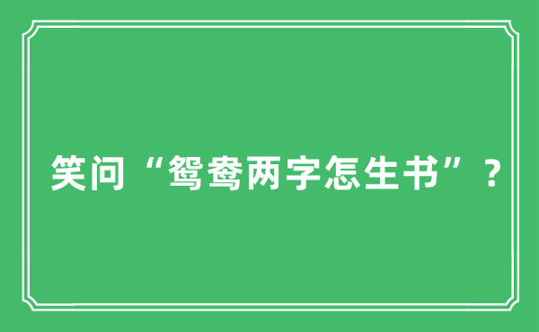 “笑問(wèn)“鴛鴦兩字怎生書(shū)”？”是什么意思,出處及原文翻譯