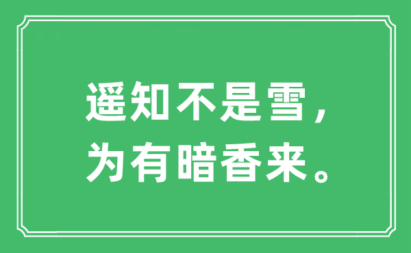 “遙知不是雪，為有暗香來”是什么意思,出處及原文翻譯