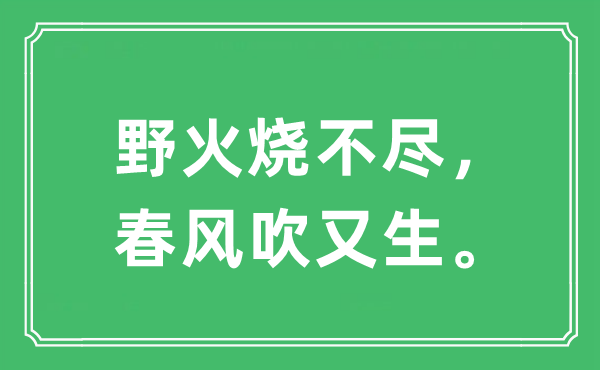 “野火燒不盡，春風吹又生”是什么意思,出處及原文翻譯