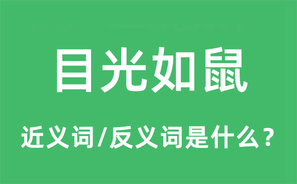 目光如鼠的近義詞和反義詞是什么,目光如鼠是什么意思