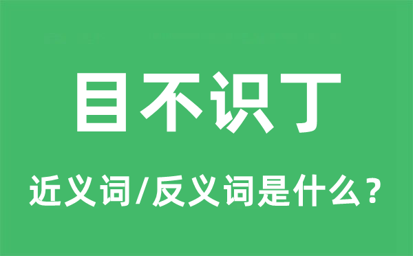目不識丁的近義詞和反義詞是什么,目不識丁是什么意思