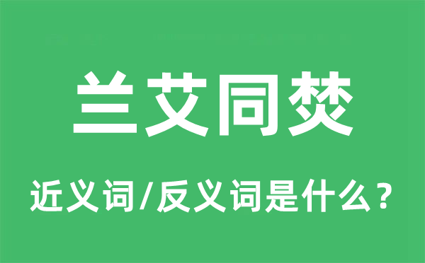 蘭艾同焚的近義詞和反義詞是什么,蘭艾同焚是什么意思
