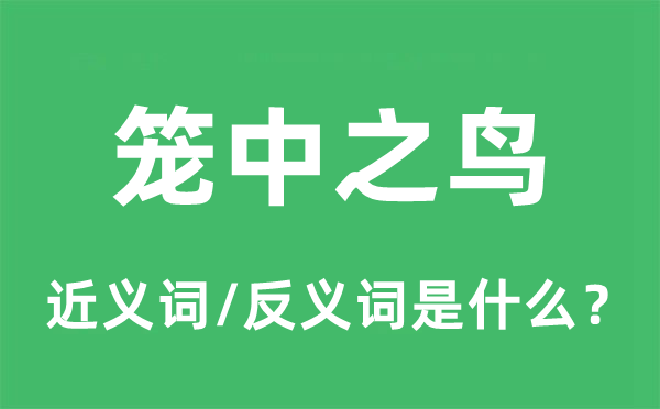 籠中之鳥的近義詞和反義詞是什么,籠中之鳥是什么意思