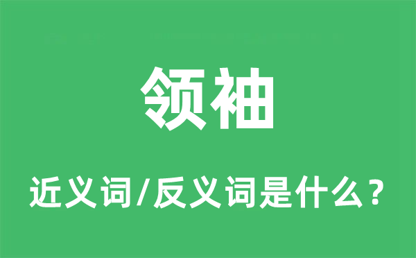 領袖的近義詞和反義詞是什么,領袖是什么意思
