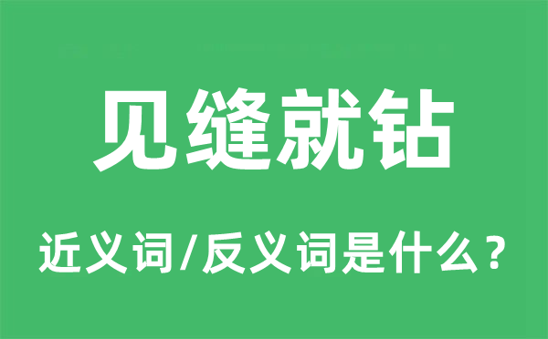見縫就鉆的近義詞和反義詞是什么,見縫就鉆是什么意思