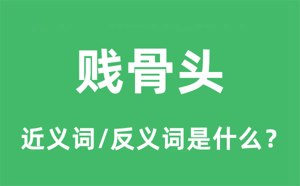 賤骨頭的近義詞和反義詞是什么,賤骨頭是什么意思