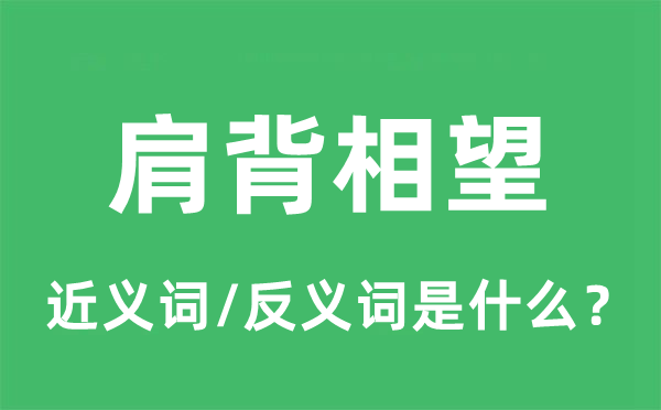 肩背相望的近義詞和反義詞是什么,肩背相望是什么意思
