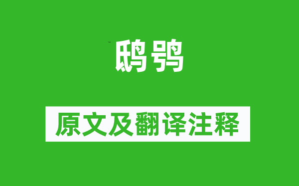 詩經·國風《鴟鸮》原文及翻譯注釋,詩意解釋