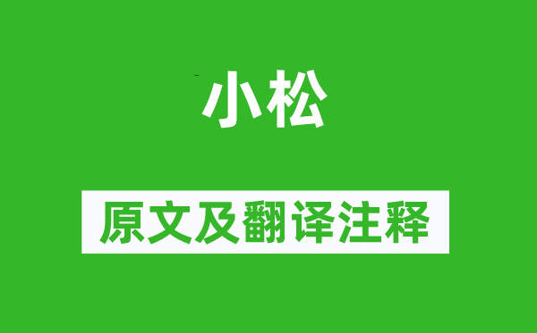 杜荀鶴《小松》原文及翻譯注釋,詩意解釋