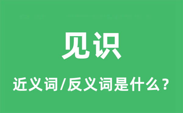 見識的近義詞和反義詞是什么,見識是什么意思