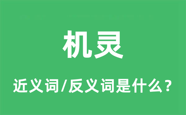 機(jī)靈的近義詞和反義詞是什么,機(jī)靈是什么意思
