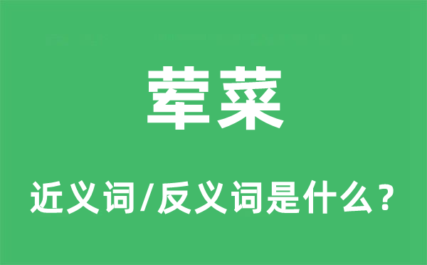 葷菜的近義詞和反義詞是什么,葷菜是什么意思