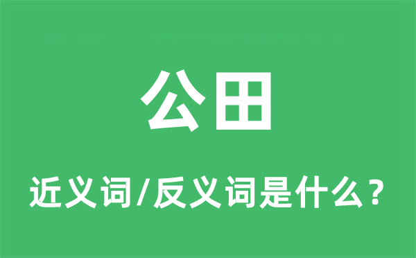 公田的近義詞和反義詞是什么,公田是什么意思