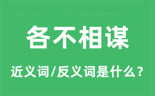 各不相謀的近義詞和反義詞是什么,各不相謀是什么意思