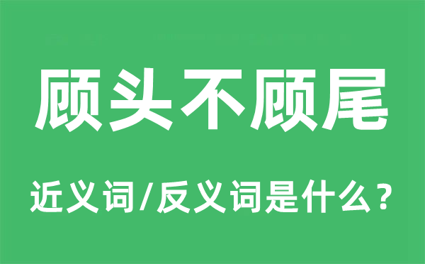 顧頭不顧尾的近義詞和反義詞是什么,顧頭不顧尾是什么意思