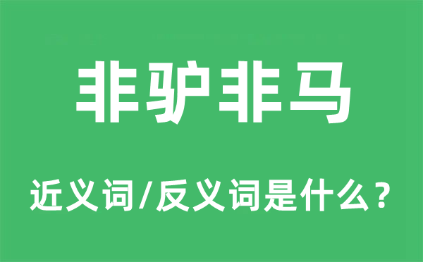 非驢非馬的近義詞和反義詞是什么,非驢非馬是什么意思