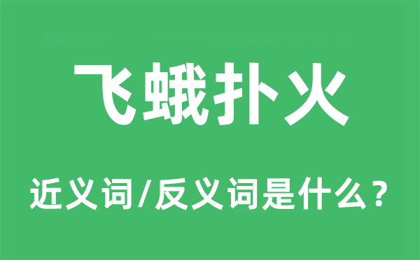 飛蛾撲火的近義詞和反義詞是什么,飛蛾撲火是什么意思