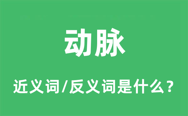 動(dòng)脈的近義詞和反義詞是什么,動(dòng)脈是什么意思
