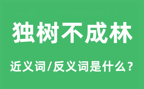獨樹不成林的近義詞和反義詞是什么,獨樹不成林是什么意思