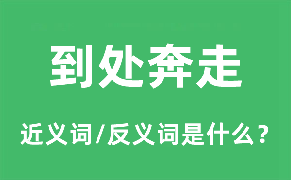 到處奔走的近義詞和反義詞是什么,到處奔走是什么意思