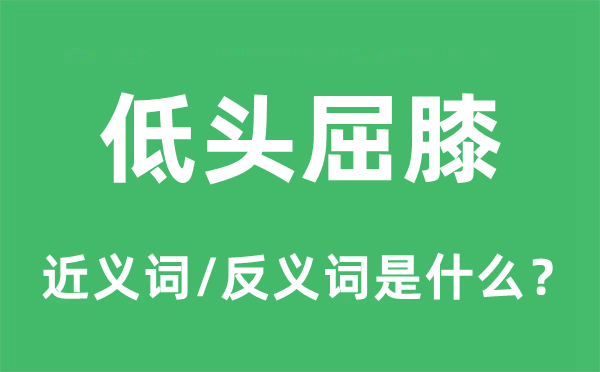 低頭屈膝的近義詞和反義詞是什么,低頭屈膝是什么意思