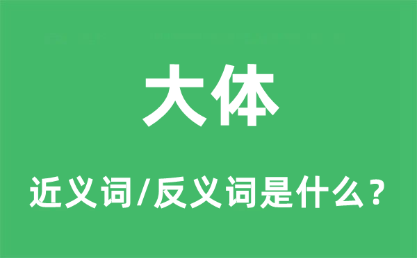 大體的近義詞和反義詞是什么,大體是什么意思