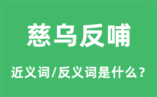 慈烏反哺的近義詞和反義詞是什么,慈烏反哺是什么意思