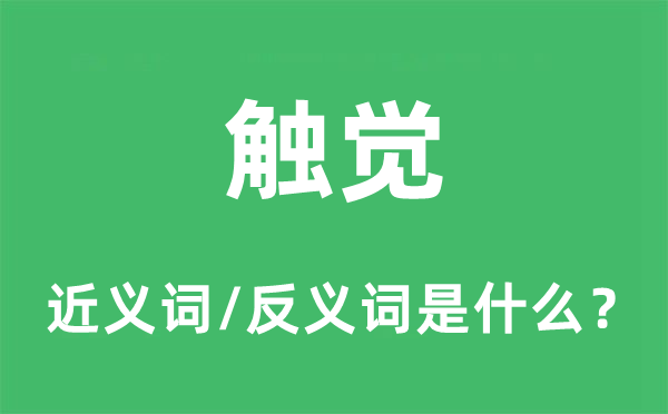 觸覺的近義詞和反義詞是什么,觸覺是什么意思