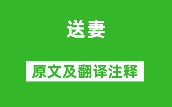 楊志堅(jiān)《送妻》原文及翻譯注釋,詩意解釋